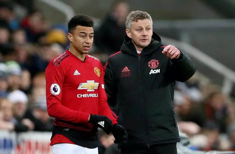 总导演表示 总导演表示